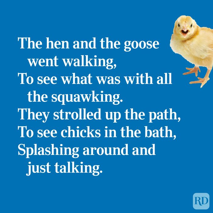 Funny Limerick
