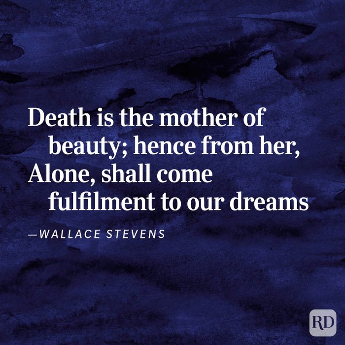 Sunday Morning by Wallace Stevens