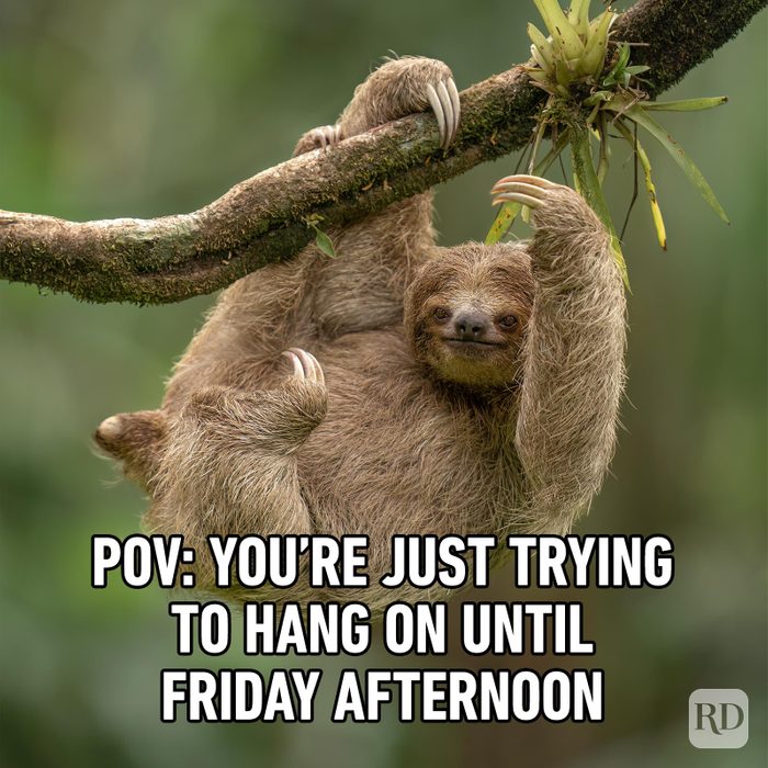 Friday Memes 39