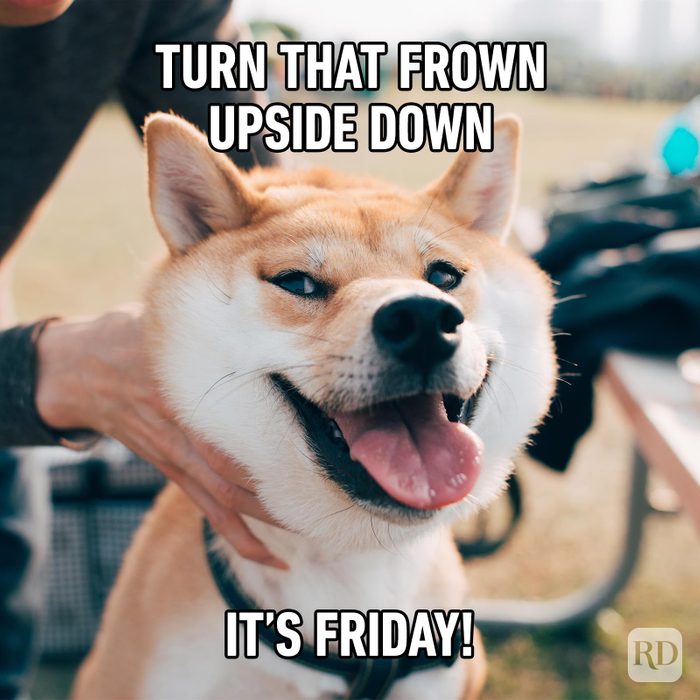 Friday Memes 44