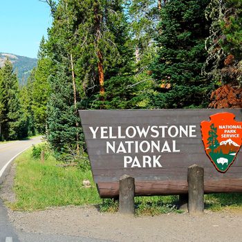 Sign displays "Yellowstone National Park," flanked by lush green trees along a winding road under a clear blue sky.
