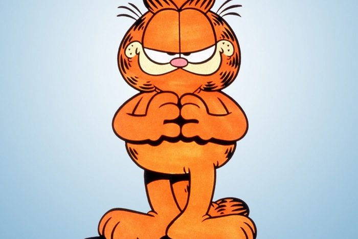 Garfield and Friends