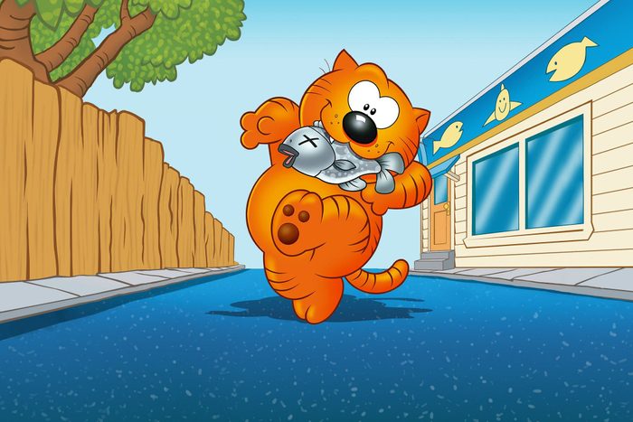 Heathcliff