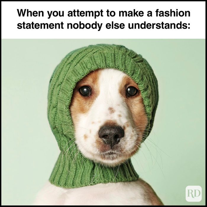 Dog Memes 48
