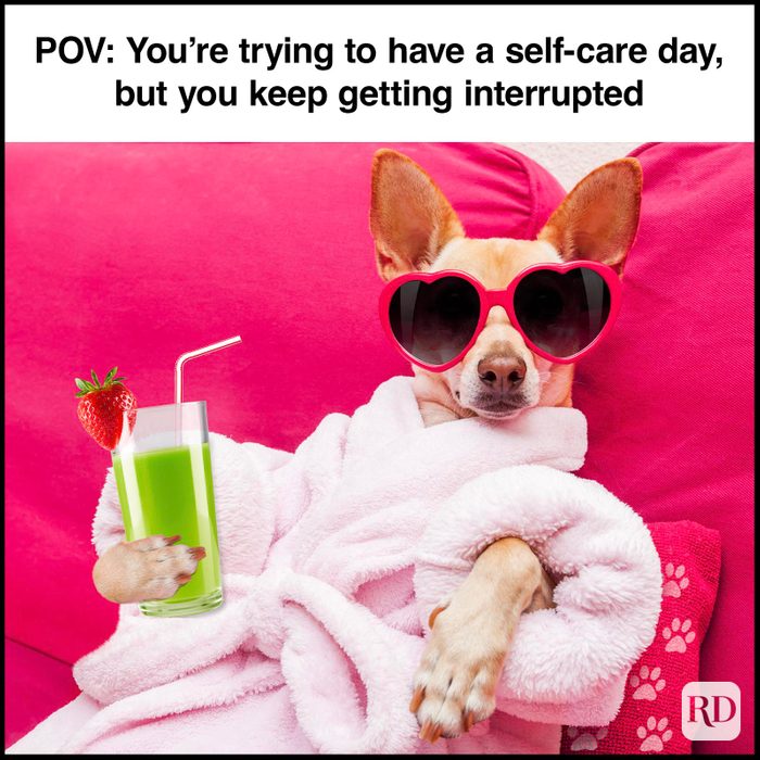 Dog Memes 50