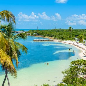 Palm trees frame a tranquil beach scene with sunbathers in turquoise water, surrounded by lush greenery under a clear blue sky.