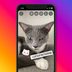 How to Create Instagram Storiesâ€”and When You May Want to Use This Feature