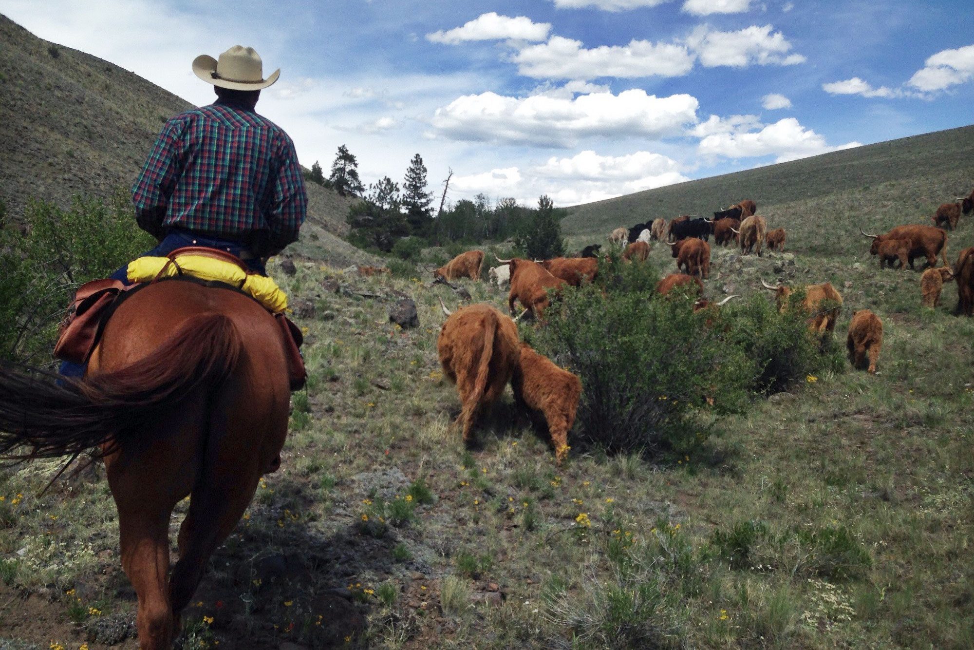 Badger Creek Ranch