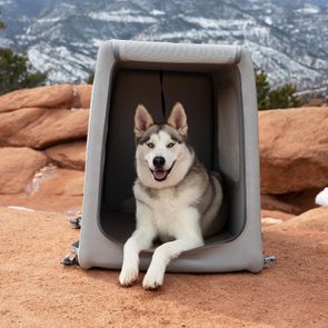 Dog relaxing inside a portable crate, surrounded by a rocky landscape and distant snow-covered mountains.