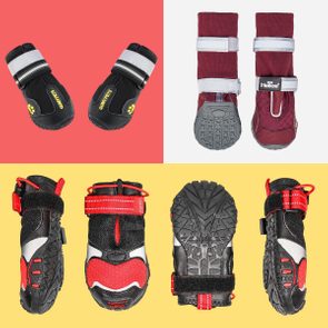 Various styles of dog boots displayed against colorful backgrounds, showcasing protective soles and straps. Visible brands: 