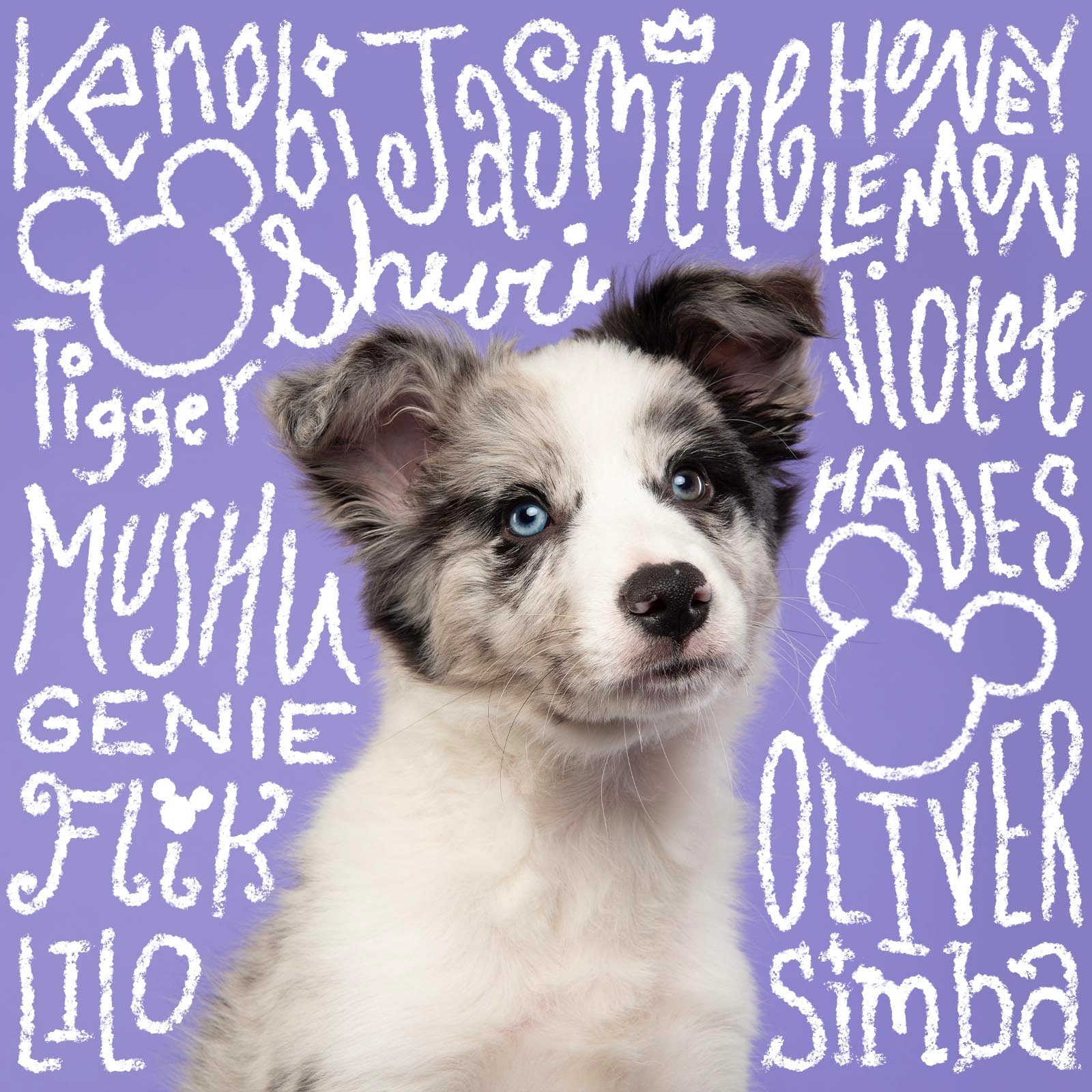 184 Magical Disney-Inspired Names for Your Dog