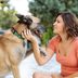 12 Dog Breeds You've Probably Been Mispronouncing All Along