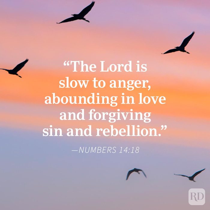 Bible quotes about forgiveness on a peaceful sunset background with birds flying