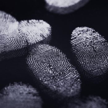 Fingerprints rest on a dark surface, illuminated and detailed, highlighting unique swirling patterns in a close-up view.