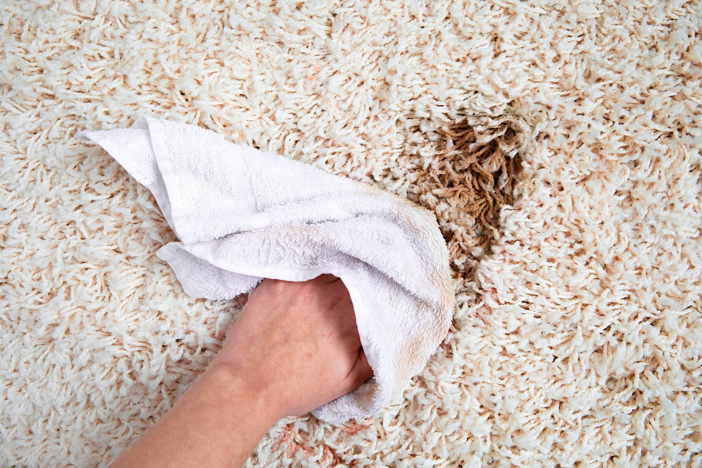 blot carpet stain with damp white cloth