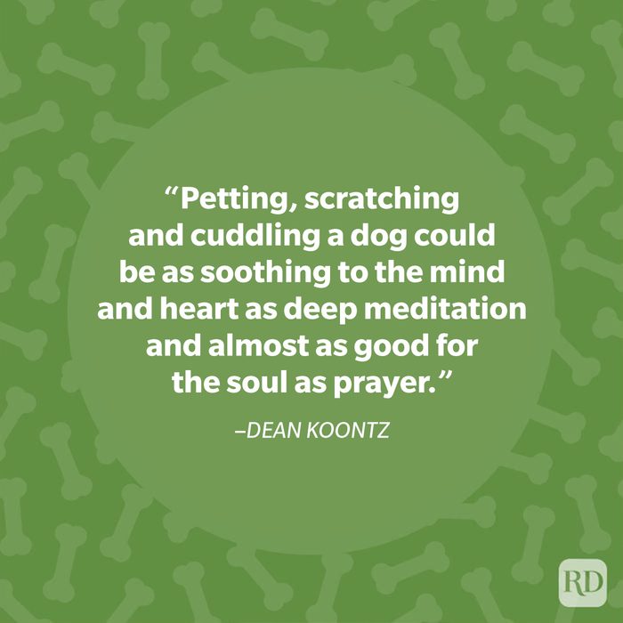 Dean Koontz Dog Quote