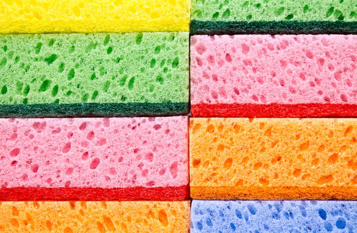 sponges texture