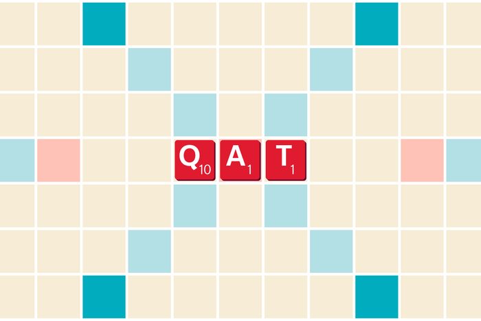 35 Best Scrabble Words To Help You Win The Game Graphic Qat