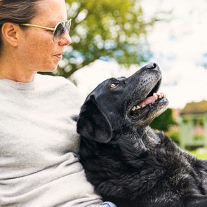 A black dog lies relaxed in a woman's lap, outdoors, under a sunny sky with trees in the background.