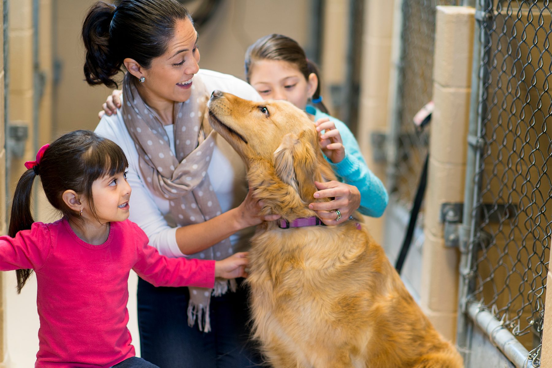 I Would Love A Second Chance At Happiness Gettyimages 482762635