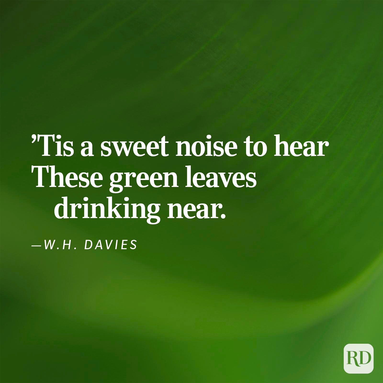 Nature Poems