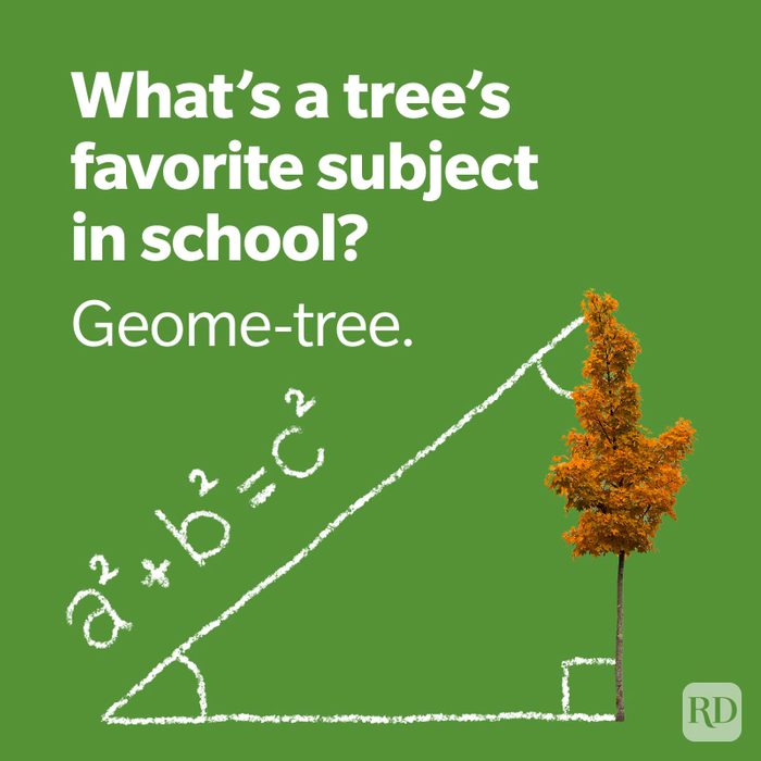 Fall Jokes