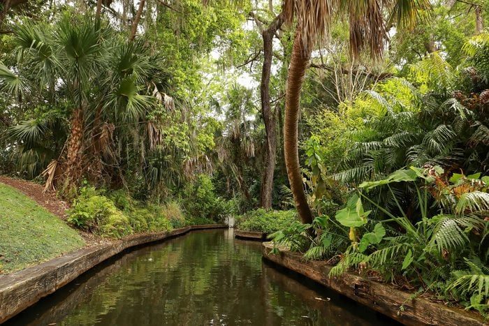 A tranquil canal winds through lush, dense tropical vegetation surrounded by tall trees and vibrant green foliage.