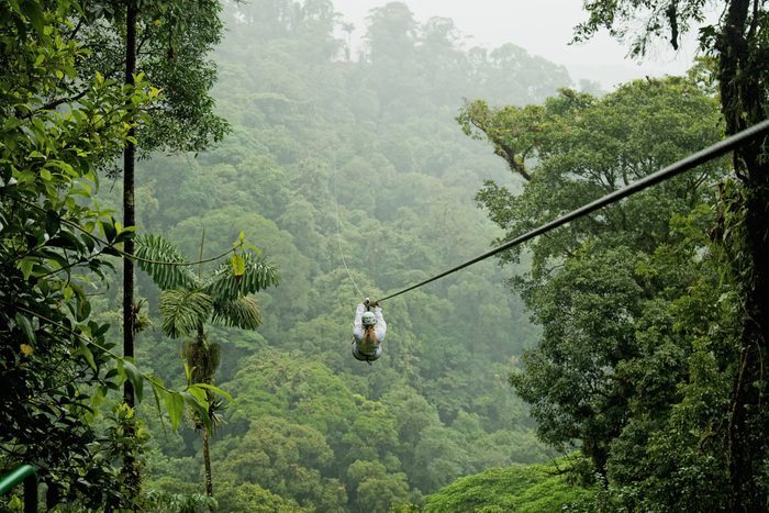 Person zip-lining through lush, dense rainforest, surrounded by vibrant green foliage and towering trees under a misty sky.