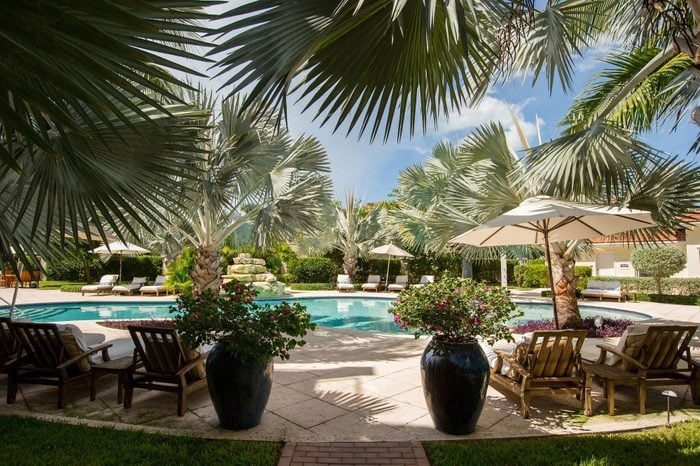 Pool surrounded by lounge chairs and tropical plants, under a clear sky with palm fronds providing shade on a sunny day.