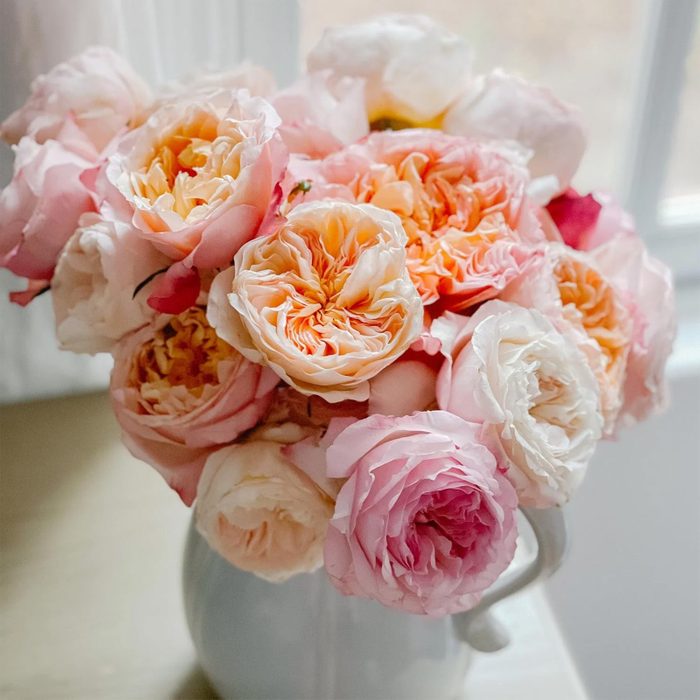 Bouquet of pastel roses sits in a white vase, illuminated by soft natural light from a nearby window.