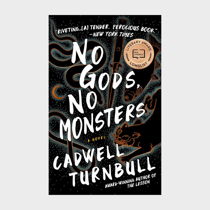 Book cover features bold white text reading 