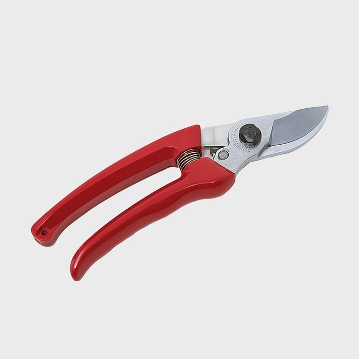 Pruning shears rest open, displaying shiny silver blades and red ergonomic handles on a plain gray background.