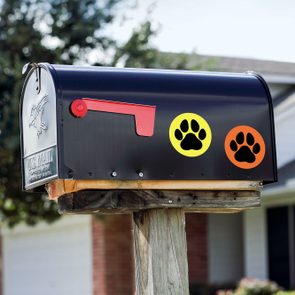 Black mailbox displaying colorful paw print stickers is mounted on a wooden post, outside a suburban house with trees in the background.