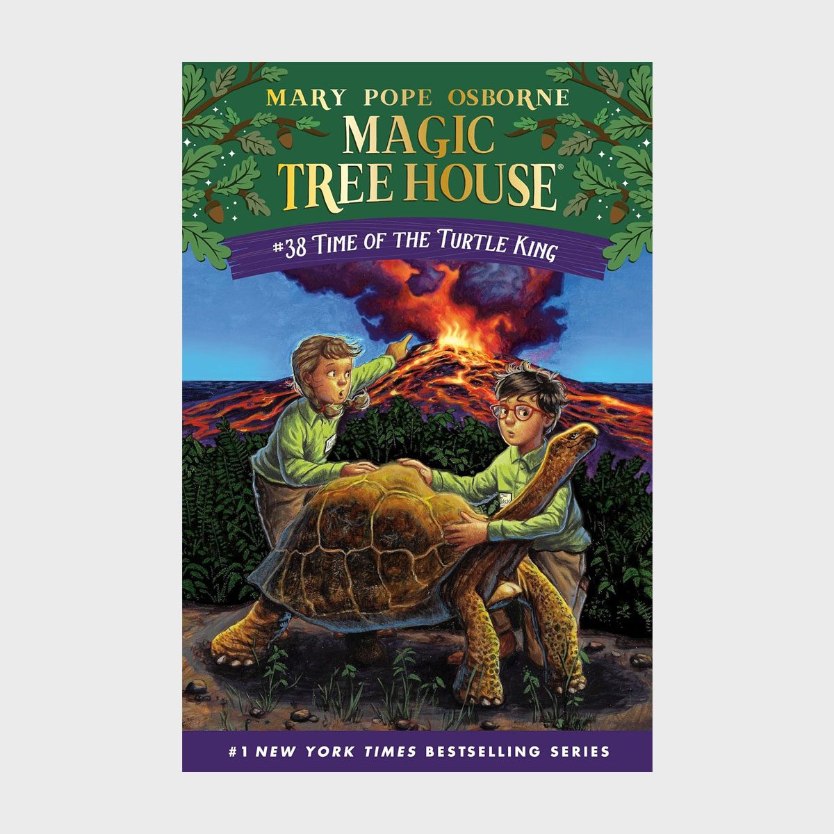 Magic Tree House Time Of The Turtle King