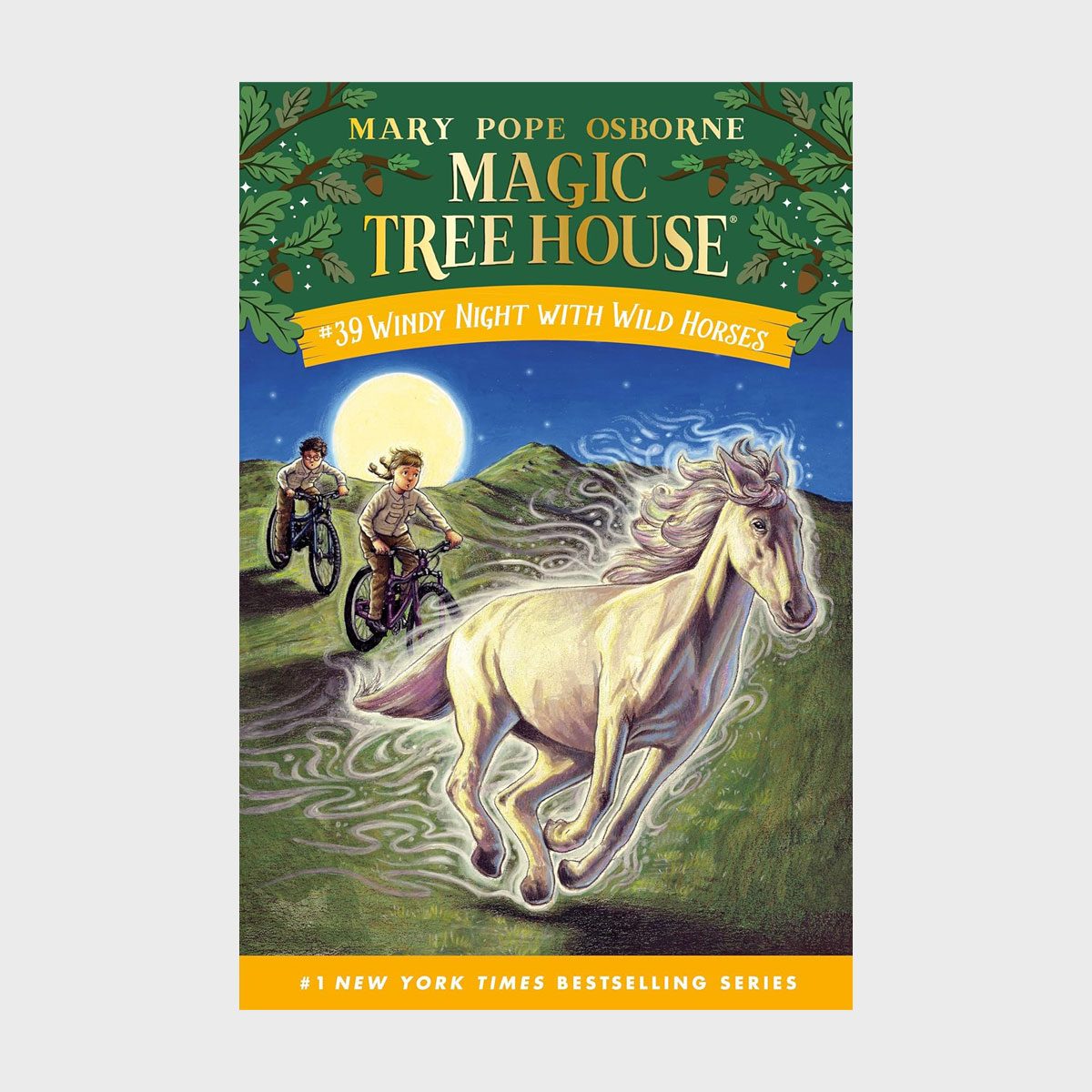 Magic Tree House Windy Night With Wild Horses 