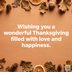 85 Thanksgiving Wishes That Perfectly Express Your Gratitude