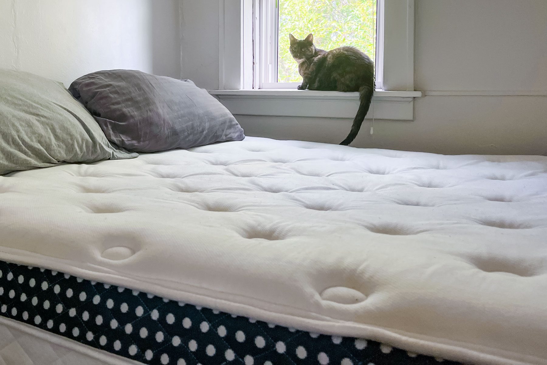 WinkBed Mattress Review: This Cooling Bed Provides Support for All Sleeping Positions
