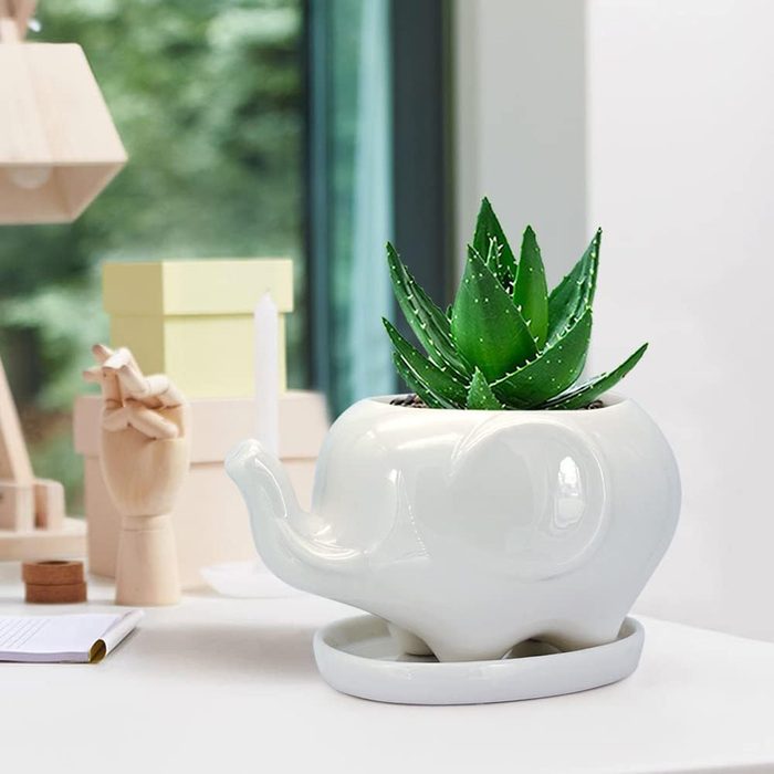 Ceramic elephant-shaped planter holding a green succulent, sitting on a tray, surrounded by decorative items on a bright indoor surface.