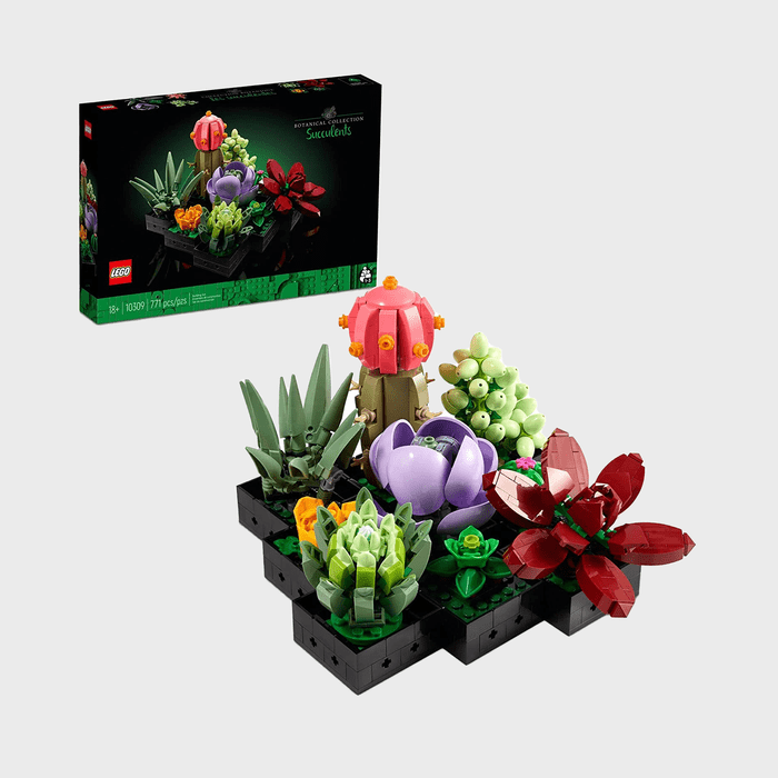 LEGO succulents are arranged colorfully on black bases; a box displays the set.