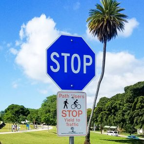 Blue stop sign stands beside a pedestrian and cyclist path, surrounded by green trees and a clear blue sky.