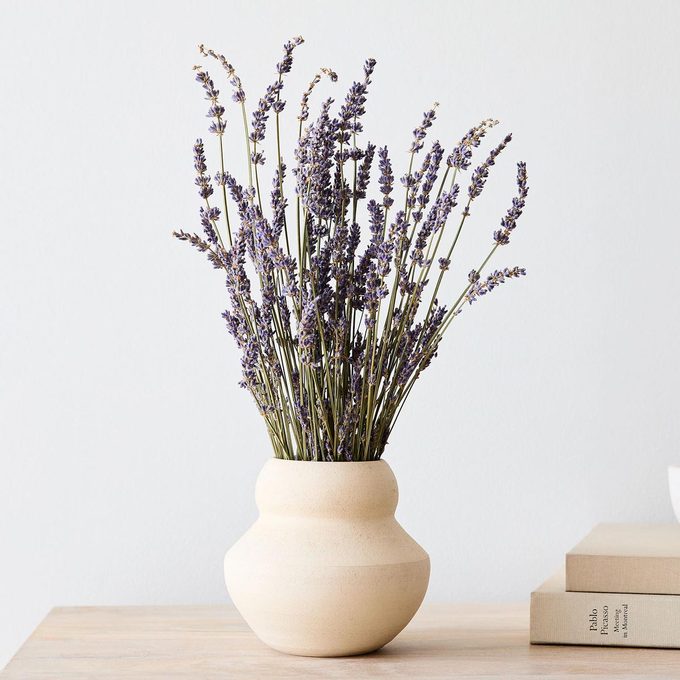 Dried Lavender Stem Bunch Via Westelm.com