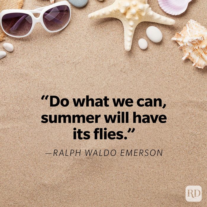 Funny Summer Quotes