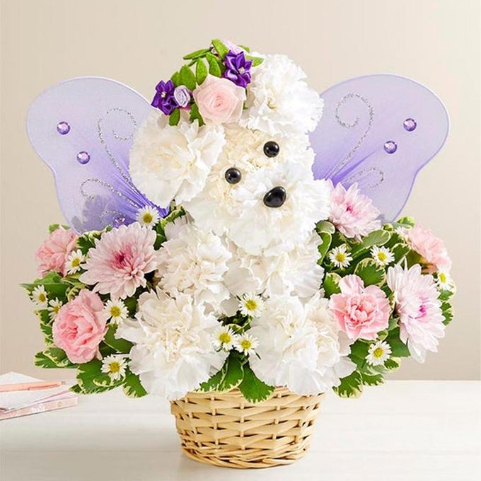 Magical Fairy Dog Via 1800flowers.com