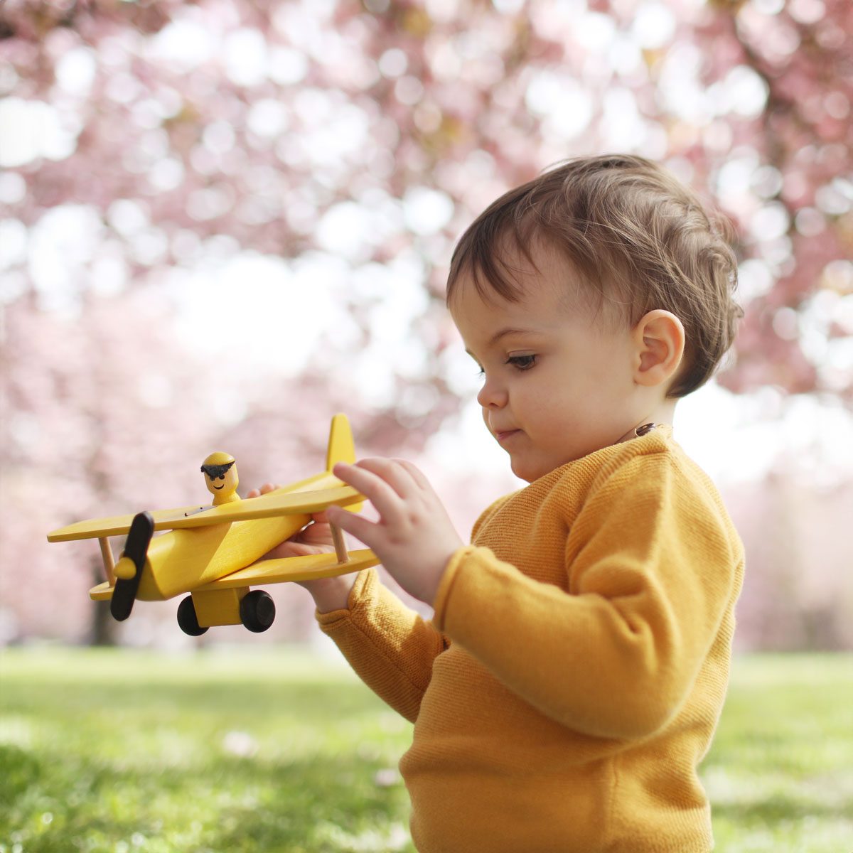 A 2 Years Old Boy Playing With A Plane In A Flowered Park