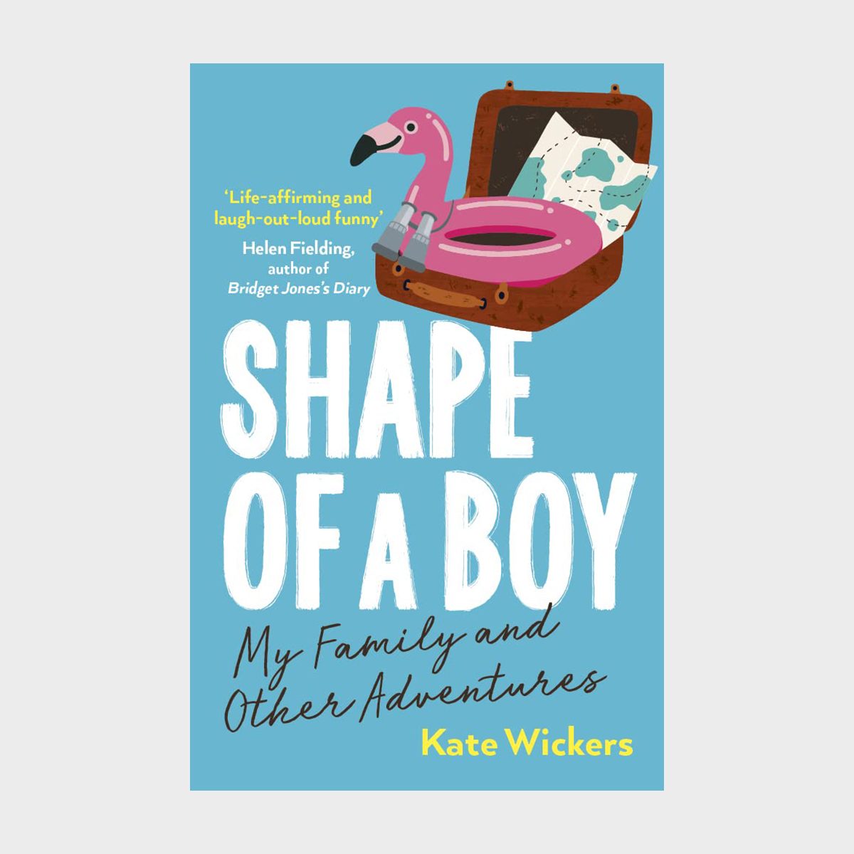 Shape Of A Boy By Kate Wickers Via Amazon.com