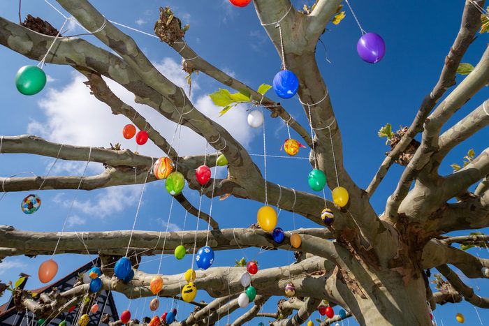 easter eggs on a tree