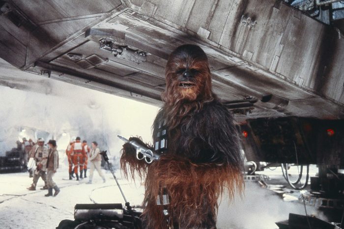 Portrait Of Peter Mayhew As Chewbacca In Star Wars: The Empire Strikes Back
