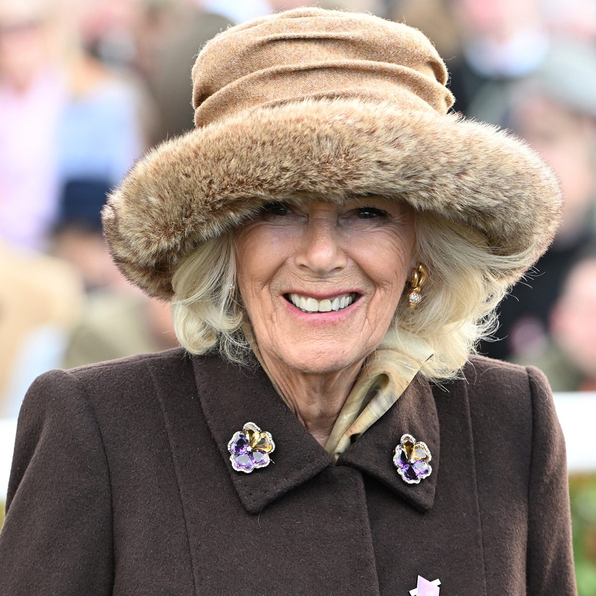 What Is Camilla’s Title—And Could She Rule England One Day?
