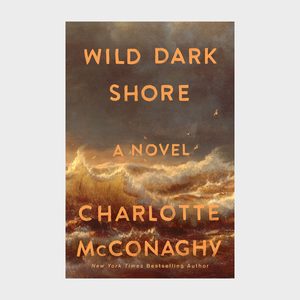 Wild Dark Shore Via Amazon.com