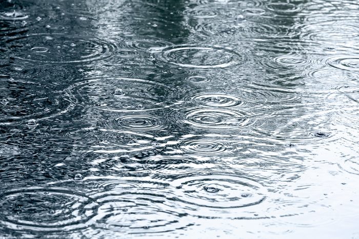 raindrops in rain puddles
